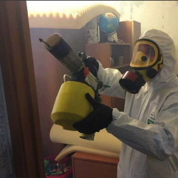 Уничтожение клопов в квартире. Кандалакша